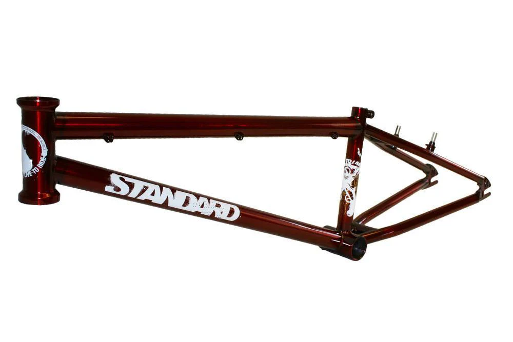 Standard 100R Expert Frame - Image 2